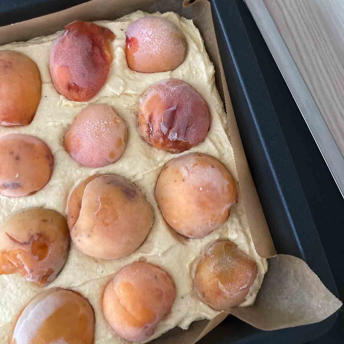 Apricot sponge cake recipe on a baking sheet with frozen apricots.