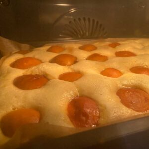 Marillenkuchen Biskuitteig Rezept vom Blech mit gefrorenen Marillen.