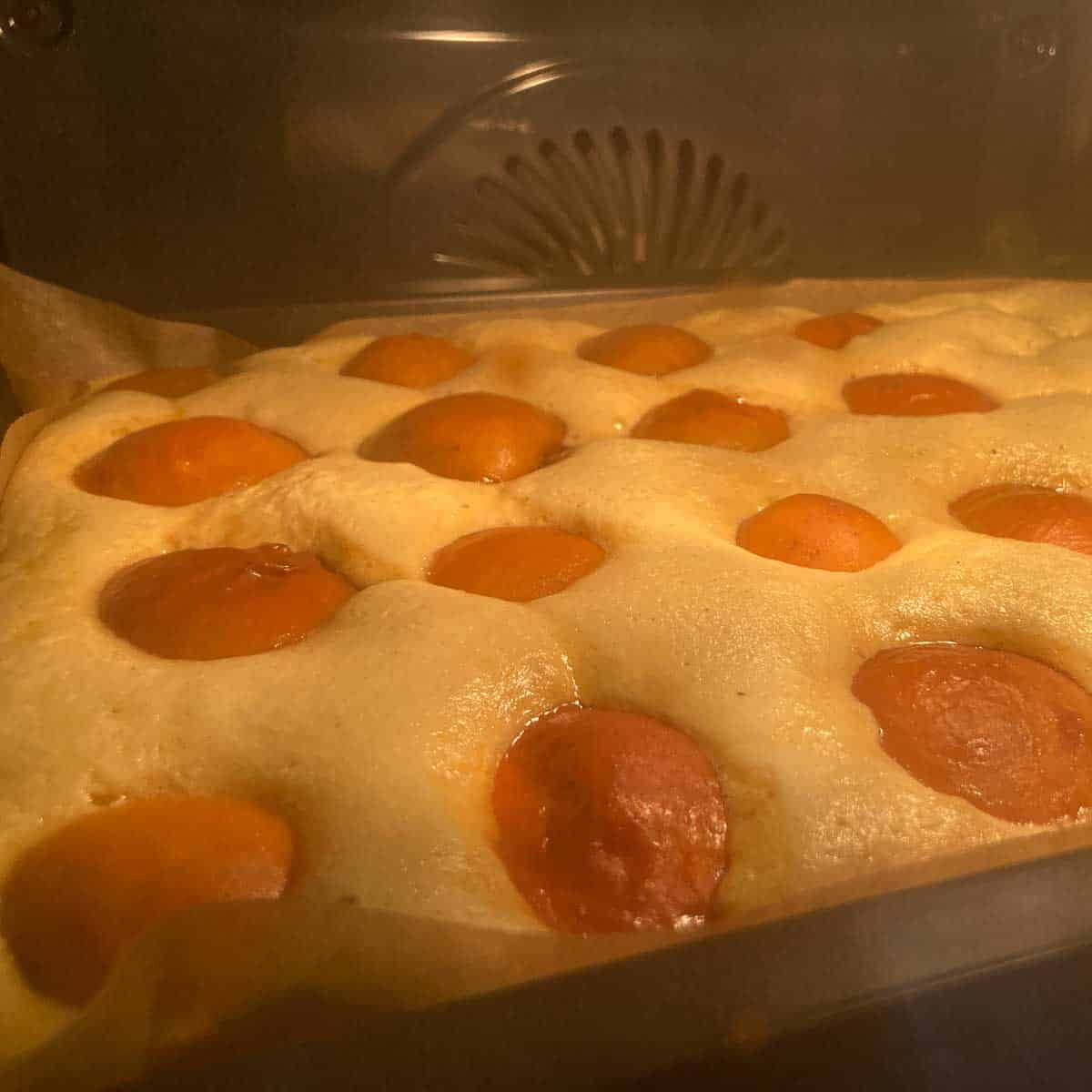 Apricot sponge cake recipe on a baking sheet with frozen apricots.