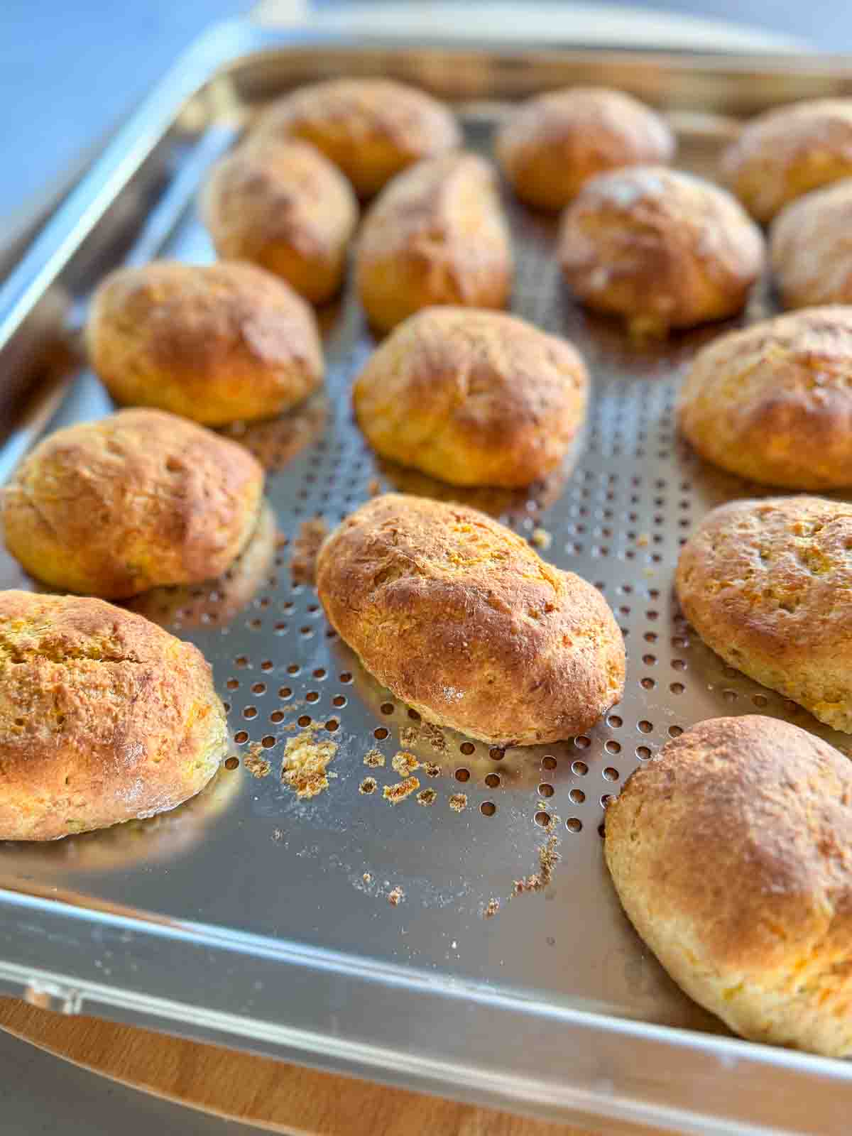 Kürbis Milchbrötchen auf dem Blech.