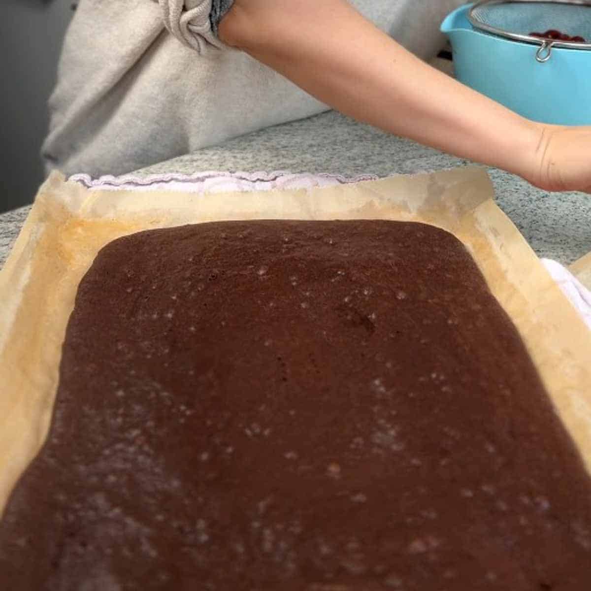 Dunkler Biskuitteig nach dem Backen.